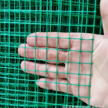 50x50 mm groene kleur PVC gecoate gelaste draadgaas