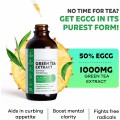 Antioxidant Weight Loss Green Tea Extract Liquid Drops