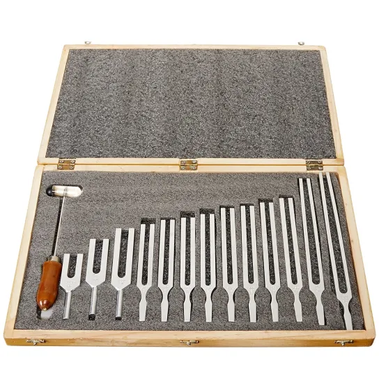 Medical Tuning Fork Set in Wooden Box: A Comprehensive Guide and Product Details