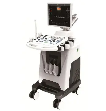 Ultrasound Machine For Pregnant Women To Examine