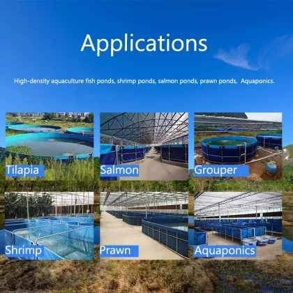 Aquaculture Solutions: Oyster, Trout, Biofloc, Marine & Fish Farming Equipment