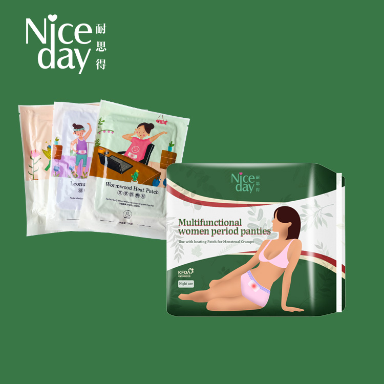 Overnight disposable Period Underwear