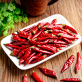 Make Dried Chili Base direct drying star pepper slightly spicy flavor Manufactory