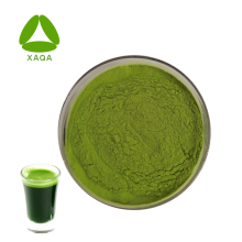 Organic Barley Grass Juice Powder 99%