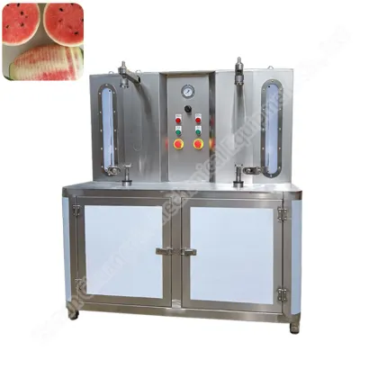 Industrial Fruit Peeler Slicer Machine - Mango, Papaya, Pumpkin, Watermelon