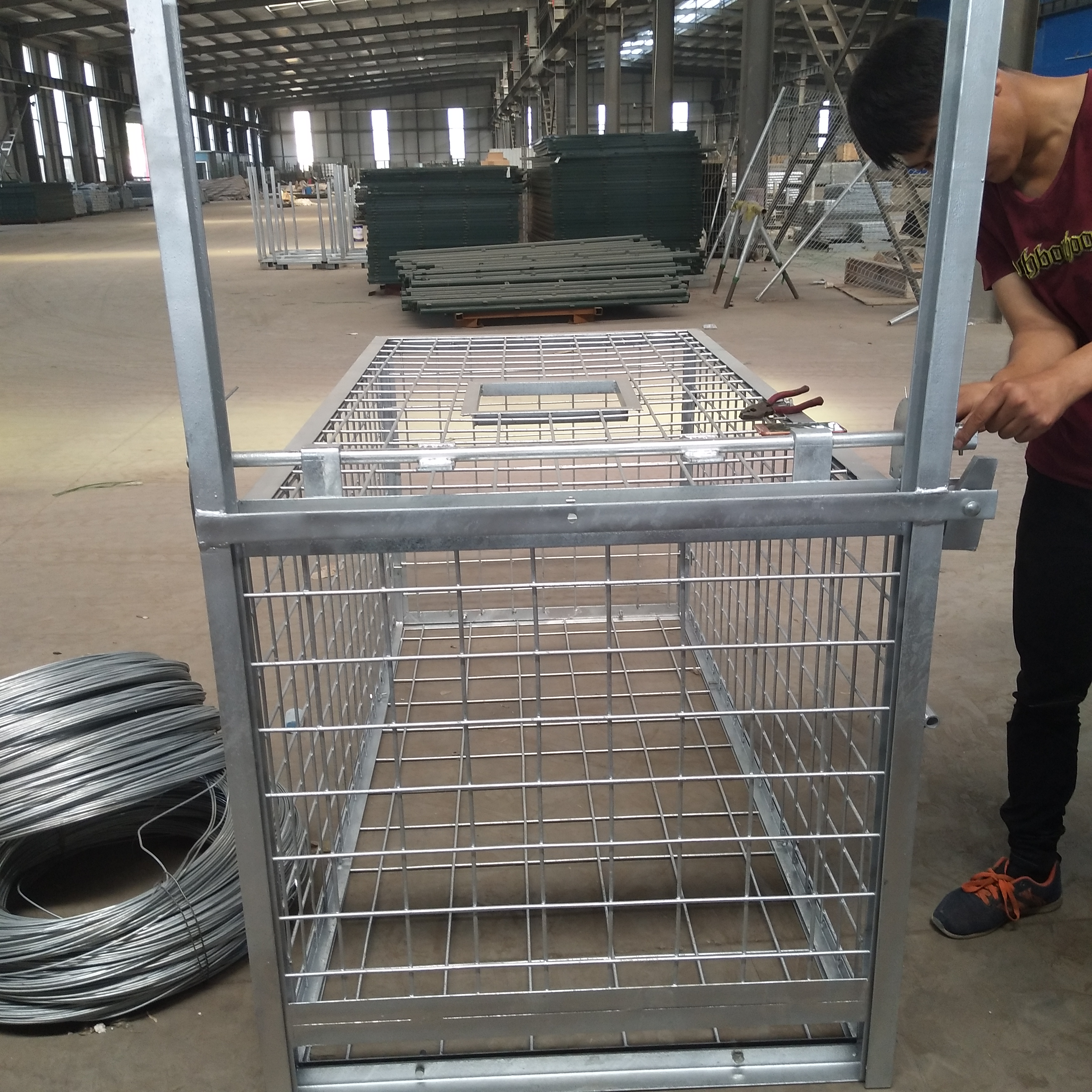 wild boar cage