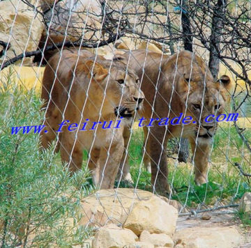 Stainless Steel Wire Rope Mesh for Zoo Animals