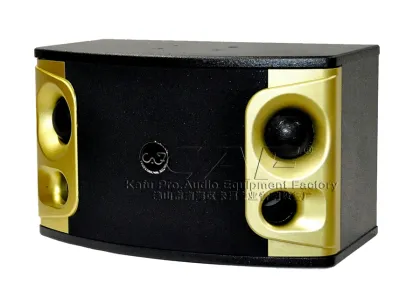 Professional Karaoke Speakers