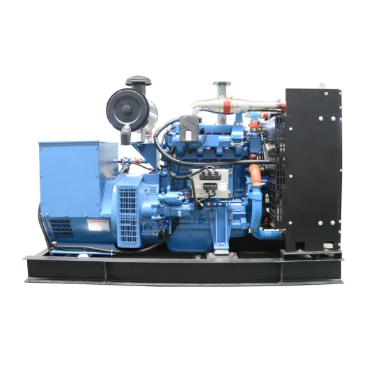 CE & ISO Certified 75 KVA 60 kW Biogas Generator Set for Sale