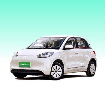 Pure Electric Small 4-Seater Wuling Bingo