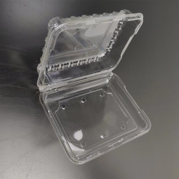 Embalaje de caja transparente de PVC de plástico para plástico ecológico