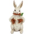 Le lapin avec décor de Pâques de carottes