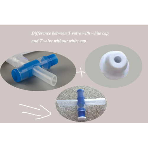 Plastic bag with T valve