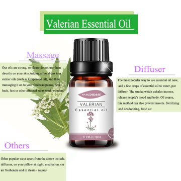 Mais vendido Pure Valerian Essential Oil Ajuda Sleep