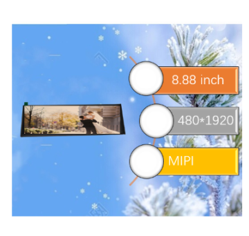 8.88 Inch TFT LCD 480x1920 Display MIPI Interface Screen