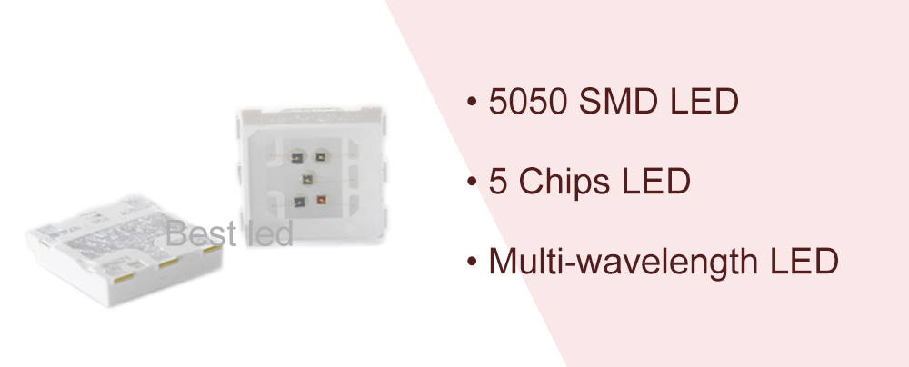 5050 SMD LED 5 Chips Wavelength
