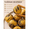 Хризантема Черный чайный шарик