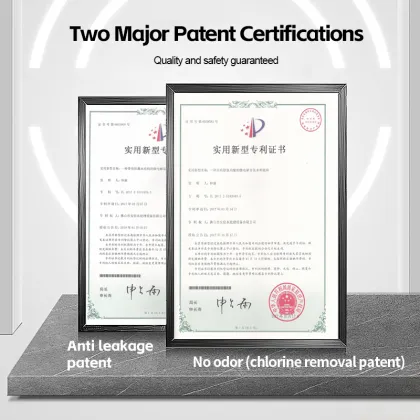 Hydrogen Water Bottle with PEM-PEM Technology