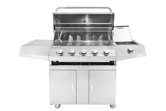 Electric Grill With Standing