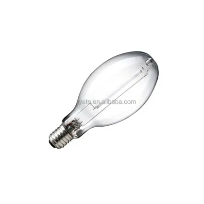 2000W High Pressure Sodium Lamps for Street Lighting: Traditional Sodium Bulbs in Tubular Oval Mode with Clear Glass