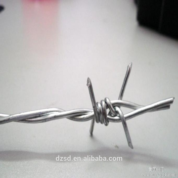 Sale ! Factory hot sale barbed wire / razor barbed wire / ( ISO 9001 )
