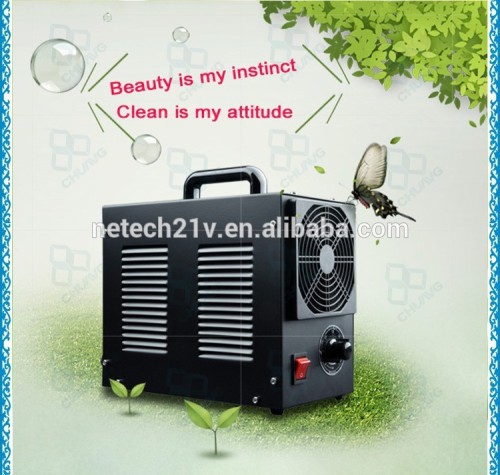 Portable 3g 5g ozone generator remove pesticides from fruits and vegetables