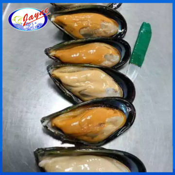 mussel half shell product