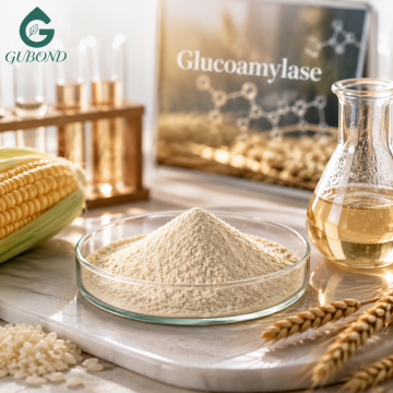 lucoamylase لتحويل النشا إلى الجلوكوز بكفاءة