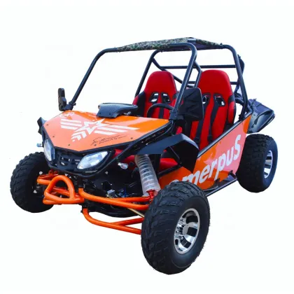 200cc Adult Off-Road Go Kart with 4 Wheels and 2 Seaters