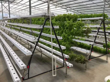 PVC Channel Hydroponic NFT Systems for Leafy Vegetable Growth