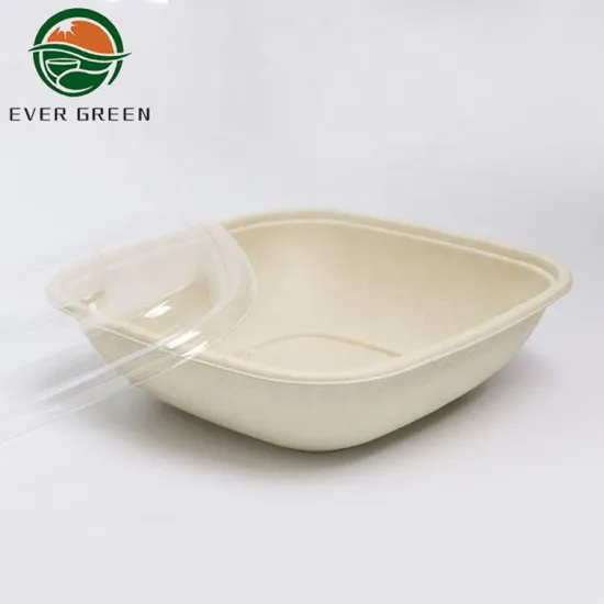 Disposable Biodegradable Square Fast Food Bento Container