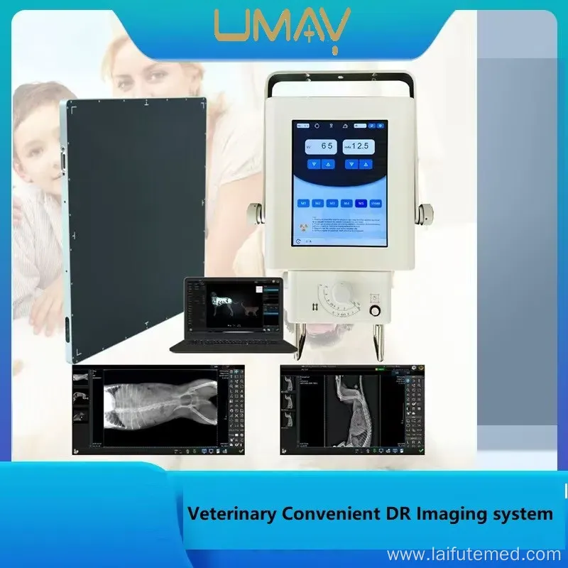 Advanced Veterinary X-Ray Machine for Diagnostic Imaging