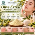Extrato de azeitona com 20%–98% de ácido oleanólico para formulações cosméticas e nutricionais