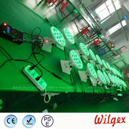 Chauvet Led Wash Light