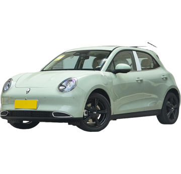 2024 ORA Good Cat 501km Prestige Edition : 저렴한 새로운 에너지 전기 자동차