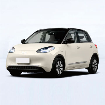 New Wuling Bingo: 333km Range, Fast Charge, Left Hand Drive, Beige Mini EV