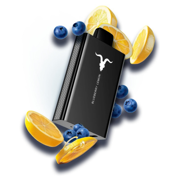 IGNITE V80 8000 Puffs Vape Wholesale USA Online