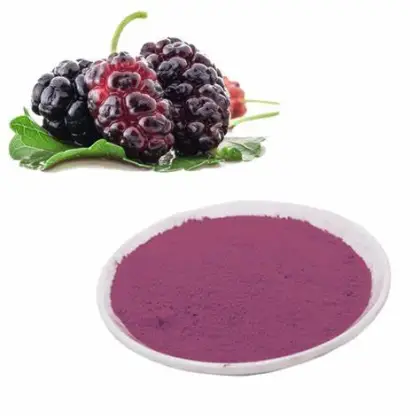 Black Mulberry Extract Anthocyanin