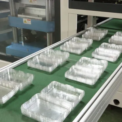 Trade and Information on Mini Vacuum Thermoform PP Prep Machines for Plastic Disposable Fruit Trays