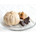 Tidsbegränsad Multi bulb Black Garlic