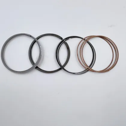 NPR RIK Engine Piston Ring for Honda Accord F20B2