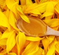 natural and pure golden organic sunflower honey