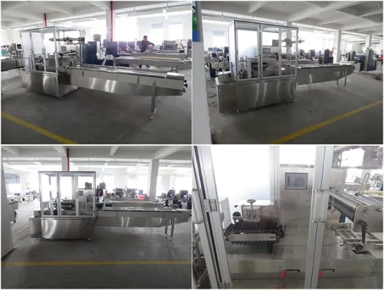 Pillow Pack Food Horizontal Automatic Packing Machine