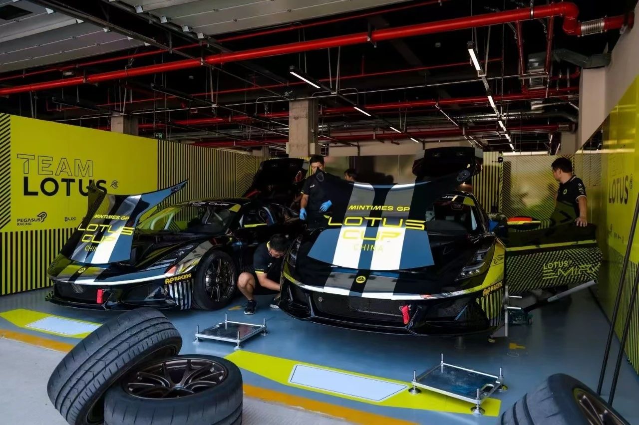 LOTUS Cup a14