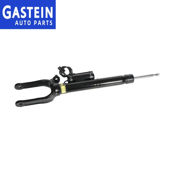 High Quality Air Suspension Strut Shock Absorber for Mercedes R-CLASS W251 Front
