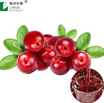 Ekstrak Cranberry 5% -25% Anthocyanidins
