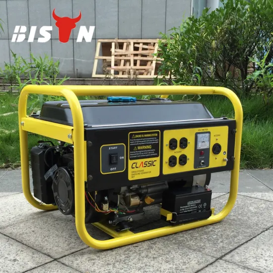 BISON(CHINA) Made In China OEM Factory 3kw Natural Gas Generator