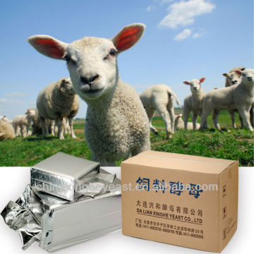 feed dry yeast for animal