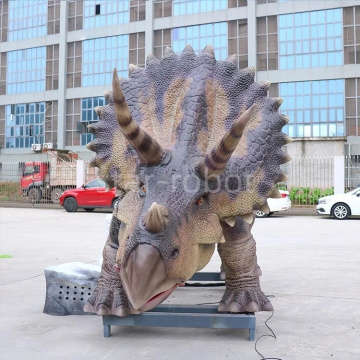 Triceratops hoạt hình: Mang lại sự hùng vĩ trong cuộc sống