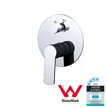 Luxury Polished Brass Bathroom Watermark Shower Arm